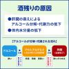 「アルピタンγ 16錠 小林製薬 二日酔い【第2類医薬品】」の商品サムネイル画像3枚目