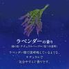 「バブ ナイトアロマ アソート 12錠入×4箱 花王 (透明タイプ)」の商品サムネイル画像9枚目