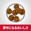 「ドッグフード サイエンスダイエット 犬 アダルト 成犬用 1歳〜6歳 チキン 小粒 12kg 2袋 ヒルズ ドライ」の商品サムネイル画像5枚目