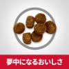 「ドッグフード サイエンスダイエット シニアプラス 犬  高齢犬用 10歳以上 チキン 小粒 12kg 2袋 ヒルズ ドライ」の商品サムネイル画像5枚目