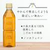 「【アスクル・ロハコ限定】伊藤園 香り豊かなお茶 麦茶 500ml ラベルレス 1セット（48本） （イチオシ） オリジナル」の商品サムネイル画像3枚目