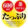 「【機能性表示食品】サントリー 緑茶 伊右衛門 濃い味 600ml 1セット（6本）」の商品サムネイル画像9枚目