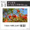 「ラックス(LUX) プレミアム ボタニフィーク ボタニカル ダメージリペア ノンシリコンシャンプー 詰め替え 350g 4個 ユニリーバ」の商品サムネイル画像5枚目