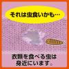「ムシューダ防虫カバー 1年間有効 スーツ・ジャケット用 1セット（16枚入×2個）洋服カバー　衣装カバー　エステー」の商品サムネイル画像7枚目