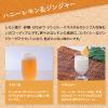 コーディアル ハニーレモン＆ジンジャー 500ml 2本 生姜 シロップ ユウキ食品