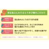 「宮古島ふんわりさとうきび糖 300g（微粒子タイプ） 5個 伊藤忠製糖」の商品サムネイル画像4枚目