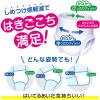 大人用紙おむつ 肌ケア アクティ 長時間パンツ 消臭抗菌プラス L-LL 1パック（14枚） 日本製紙クレシア