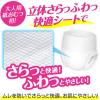【ロゴなしケース】大人用紙おむつ 肌ケアアクティ 介護 長時間パンツ 消臭抗菌 大容量 M-L 2パック（32枚×2個）日本製紙クレシア