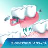 「部分・総入れ歯安定剤 新ポリグリップS お口さわやかミント味 75g 1セット（2個） Haleonジャパン 入れ歯安定剤」の商品サムネイル画像5枚目