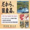「デビフ おすわりくん ササミ 国産 75g 3袋 ドッグフード 犬 おやつ」の商品サムネイル画像4枚目