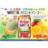 「【ワゴンセール】【賞味期限2025/3/31】チューハイ WATTA（ワッタ） メロン＆マンゴー 350ml 1セット（6本）（わけあり品）」の商品サムネイル画像3枚目