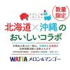 「【ワゴンセール】【賞味期限2025/3/31】チューハイ WATTA（ワッタ） メロン＆マンゴー 350ml 1セット（6本）（わけあり品）」の商品サムネイル画像4枚目