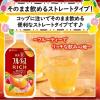 「【ワゴンセール】フルーティス RICH マンゴーピーチ ストレート 1000ml1セット（3本）（わけあり品）」の商品サムネイル画像5枚目