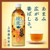 「コカ・コーラ 綾鷹 黒豆ほうじ茶 650ml 1セット（6本）」の商品サムネイル画像4枚目