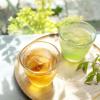 「赤堀商店 大きなティーバッグ 宇治抹茶入り 濃い深むし茶 1袋（32バッグ入） 三角ティーバッグ 緑茶 煎茶」の商品サムネイル画像4枚目