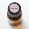 「無印良品 エッセンシャルオイル クラリセージ １０ｍＬ 良品計画」の商品サムネイル画像3枚目