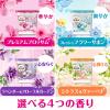 「ボールド ジェルボール4D フレッシュフラワーサボン 本体 1セット（11粒入×2個） 洗濯洗剤 P＆G【旧品】」の商品サムネイル画像7枚目