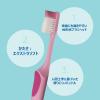 「テペ（TePe） ノバ歯ブラシ エクストラソフト ブリスター」の商品サムネイル画像3枚目