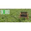 「【ワゴンセール】趣華茶(syukacha) 有機 ジャスミン茶 ティーバッグ 1袋（30バッグ入）」の商品サムネイル画像3枚目