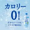 「【アウトレット】再値下げ アサヒ飲料 アサヒ おいしい水 天然水 からだ澄む水 600ml 1箱（24本入）」の商品サムネイル画像5枚目