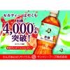 「サントリー クラフトボス ブルー セイロンティー 無糖 600ml 1箱（24本入）」の商品サムネイル画像5枚目