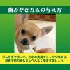 「ペットキッス 食後の歯みがきガム 子犬用 ミルク風味 国産 90g （約30本）3袋 ライオンペット 犬用 おやつ 歯磨き」の商品サムネイル画像6枚目