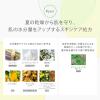 「naturaglace（ナチュラグラッセ）シールドルースパウダーUV ミントレモン SPF50+・PA+++　限定」の商品サムネイル画像7枚目