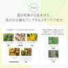 「naturaglace（ナチュラグラッセ） UVプロテクションベース　ミントレモン 30ml SPF50+・PA+++　限定」の商品サムネイル画像6枚目