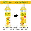 「【ワゴンセール】国産 かんきつ三種ブレンド 400g ニッポンエール 1セット（6本）（わけあり品）」の商品サムネイル画像3枚目