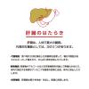 「グロンサン内服液 20ml×30瓶 レック 滋養強壮 虚弱体質 肉体疲労・病後の体力低下など栄養補給【第3類医薬品】」の商品サムネイル画像7枚目