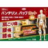 「バンテリンコーワパップホット 12枚 興和 ★控除★ 温感タイプ 肩こり痛 腰痛 膝痛 高伸縮 高粘着【第2類医薬品】」の商品サムネイル画像2枚目