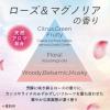 「ニュービーズ ローズ＆マグノリアの香り 詰め替え メガジャンボ 2650g 1セット（1個×4） 衣料用洗剤 花王」の商品サムネイル画像8枚目
