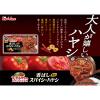 「完熟トマトのハヤシライスソース 香ばしスパイシーハヤシ （4皿分×2）1個 ハウス食品 ステーキ　ローストビーフ」の商品サムネイル画像3枚目