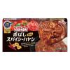 「完熟トマトのハヤシライスソース 香ばしスパイシーハヤシ （4皿分×2） 2個 ハウス食品 ステーキ　ローストビーフ」の商品サムネイル画像2枚目