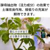 「【園芸用品】住友化学園芸 MY PLANTS すばやく元気を届けるミスト 250ml 1本」の商品サムネイル画像3枚目