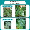 「【園芸用品】住友化学園芸 MY PLANTS 葉をきれいにするミスト 220ml 1本」の商品サムネイル画像3枚目