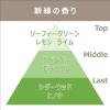 「【アスクル限定】トイレの消臭剤 置き型 新緑 1セット（1個×3） エステー 【数量限定】 オリジナル」の商品サムネイル画像4枚目