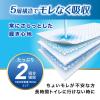 「リフィール お試しパック 介護おむつ L（2回吸収）1箱（2枚入×50パック）アイリスオーヤマ」の商品サムネイル画像6枚目