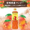 「業務用フルーティス　りんご酢マンゴー（6倍濃縮タイプ）1000ml 1本 ミツカン 希釈用」の商品サムネイル画像3枚目