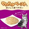 「カルカン（kalkan）11歳から やわらかペースト 味わいとりささみ 着色料・発色剤 無添加 60g 12袋 キャットフード」の商品サムネイル画像6枚目