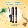 「MAJOLICA MAJORCA ラッシュEXP 孔雀ロング　BR666　女帝　アンバーブラウン　マスカラ　6ｇ 資生堂」の商品サムネイル画像2枚目