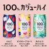 「【ワゴンセール】飲み比べ 100％ カジューハイ アソート3種 12本セット 1セット（3種×各4本）（わけあり品）」の商品サムネイル画像5枚目