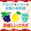 「【ワゴンセール】不二家 宝石のレモンスカッシュルビー 410ml 1セット（6本）（わけあり品）」の商品サムネイル画像5枚目