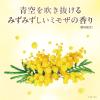 「数量限定　ラックス(LUX)　バスグロウ　ミモザ　リペアアンドシャイン　お試し容量ポンプペア 400g+400g」の商品サムネイル画像4枚目