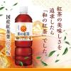 「アサヒ飲料 和の紅茶 無糖アイスティー 500ml 1箱（24本入）」の商品サムネイル画像3枚目