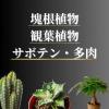 「【園芸用品】プロトリーフ 室内向け観葉・多肉の土プレミアム 3.5L 1袋」の商品サムネイル画像3枚目