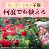 「【園芸用品】アース製薬 殺虫殺菌剤 Balife バライフ バラの虫・病気 退治＆予防 1000ｍL  50004245 1本」の商品サムネイル画像6枚目