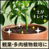 「【園芸用品】アース製薬 観葉植物 防カビ BotaNice ボタナイス 土のカビ予防 350mL  50004197 1本」の商品サムネイル画像4枚目