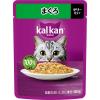 「（お得なアソート）カルカン 成猫用 キャットフード パウチ まぐろシリーズ 48袋（12袋×4種）ウェット」の商品サムネイル画像2枚目