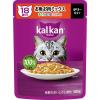 「（お得なアソート）カルカン 18歳以上 キャットフード パウチ 48袋（12袋×4種）　シニア猫 ウェット」の商品サムネイル画像4枚目